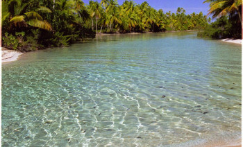 Tuamotu Atolls Sailing & Diving Itinerary – French Polynesia Liveaboard Adventure