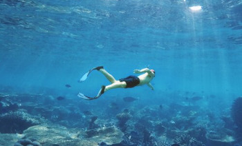 Discover the Ultimate Diving Adventure in the Maldives on a 99ft wooden schooner