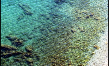 Turkish Delight Gulet Cruise