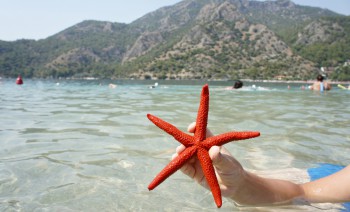 Turkish Delight Gulet Cruise