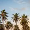 Exclusive Cruise Thailand