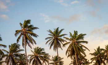 Exclusive Cruise Thailand
