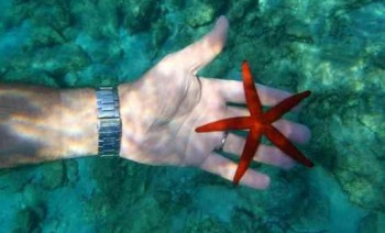 Turkish Islands Cabin Charter - covid-19 insured
