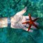 Turkish Islands Cabin Charter - covid-19 insured