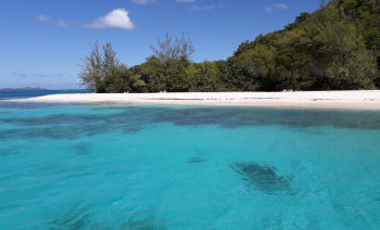 New Year's Eve Catamaran Sailing Flotilla in the Caribbean: Martinique, Saint Lucia, Grenadines & Tobago Cays