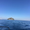 Pontine Islands Sailing Cruise From Procida