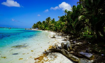 Crystal clear waters await you in San Blas Paradise