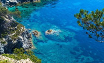 Discover the Magic of the French Riviera: Sailing from Toulon to Porquerolles