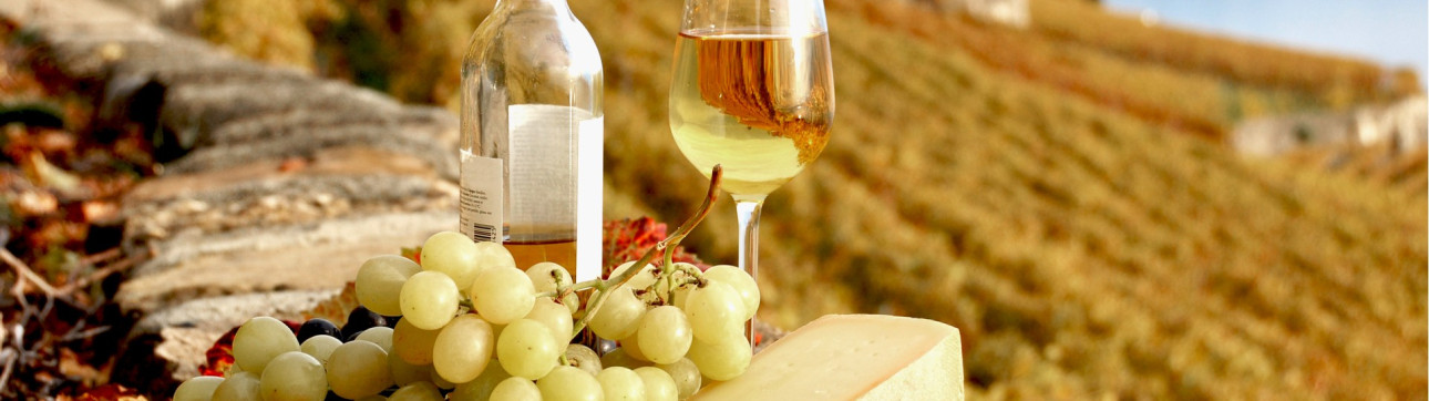 Wine and Sail Cruise - cover photo