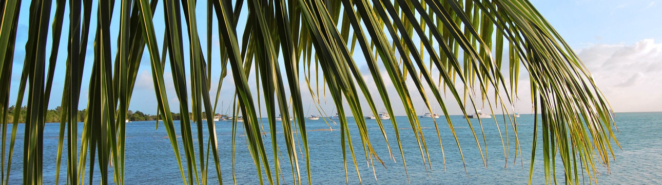 Yacht Charter in Belize - cover photo