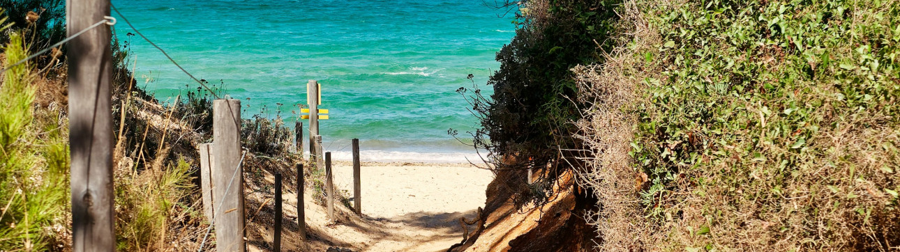 Discover the Magic of the French Riviera: Sailing from Toulon to Porquerolles - cover photo