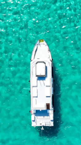 2015 Catamaran