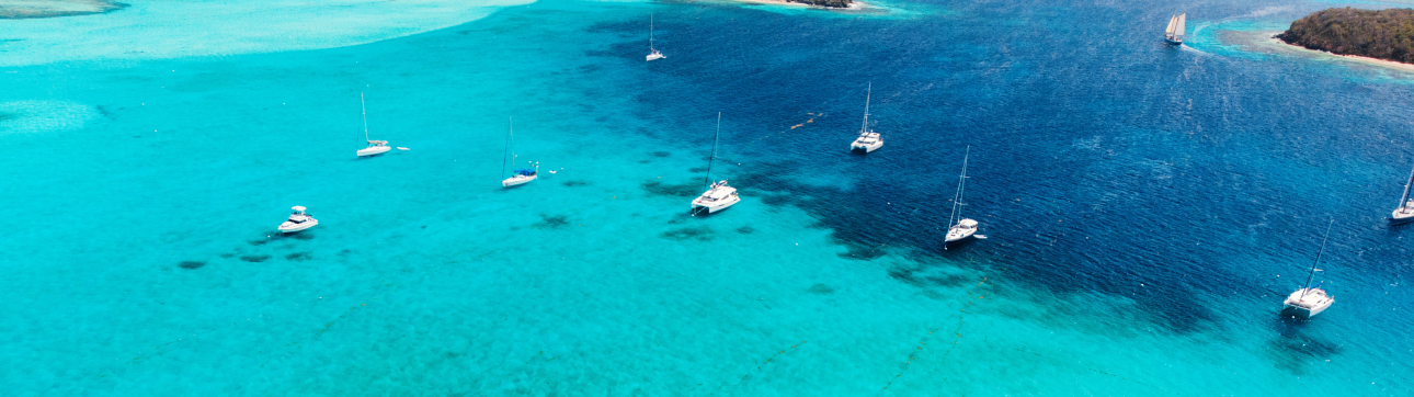 New Year's Eve Catamaran Sailing Flotilla in the Caribbean: Martinique, Saint Lucia, Grenadines & Tobago Cays - cover photo