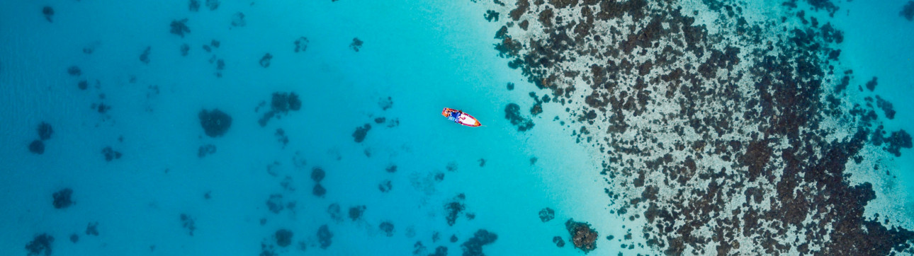 Discover the Ultimate Diving Adventure in the Maldives on a 99ft wooden schooner - cover photo