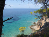 Central Dalmatia, CR cruise photo