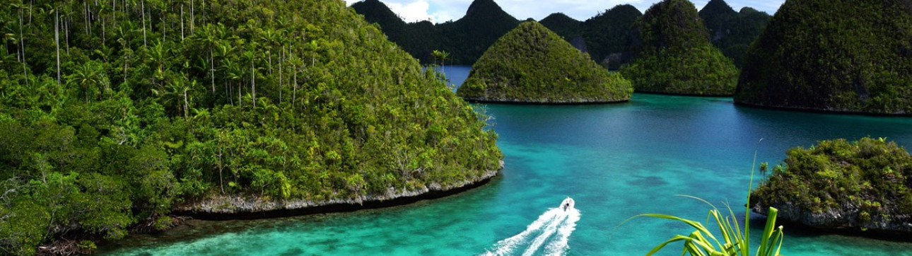 Raja Ampat Luxury Sailing Holidays - cover photo
