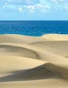 Best Cruise Canaries and Salvage Islands 
