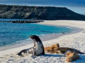 Galapagos Islands, Ecuador cruise photo