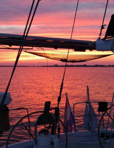 Sailing Cruise Exploring Guadalupe