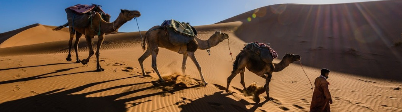 Sail and Desert Experience in Tunisia - cover photo