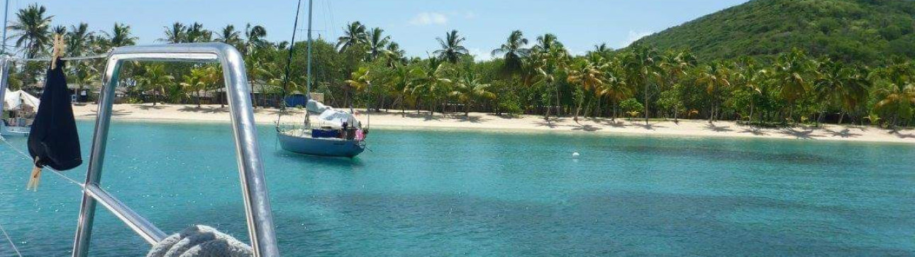 Luxury Catamaran Cabin Cruise in Grenadines Islands - cover photo