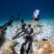 The Ultimate Free Diving Trip